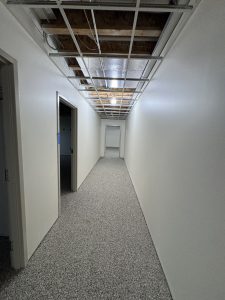 A hallway with white walls, gray carpet, open doorways, and a ceiling grid missing tiles, exposing pipes and wiring above.